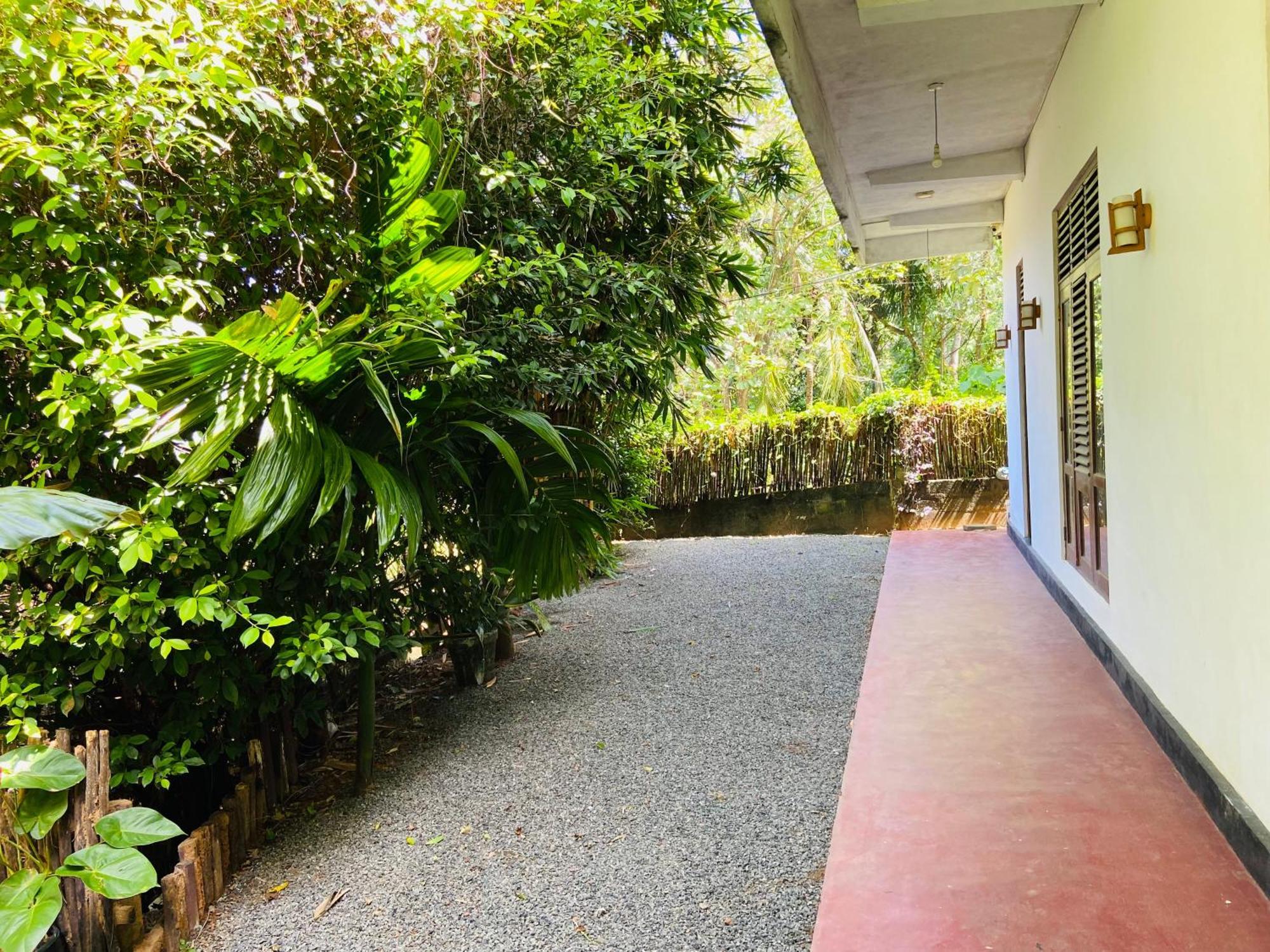 Leo Homestay Dikwella Sur Exterior foto